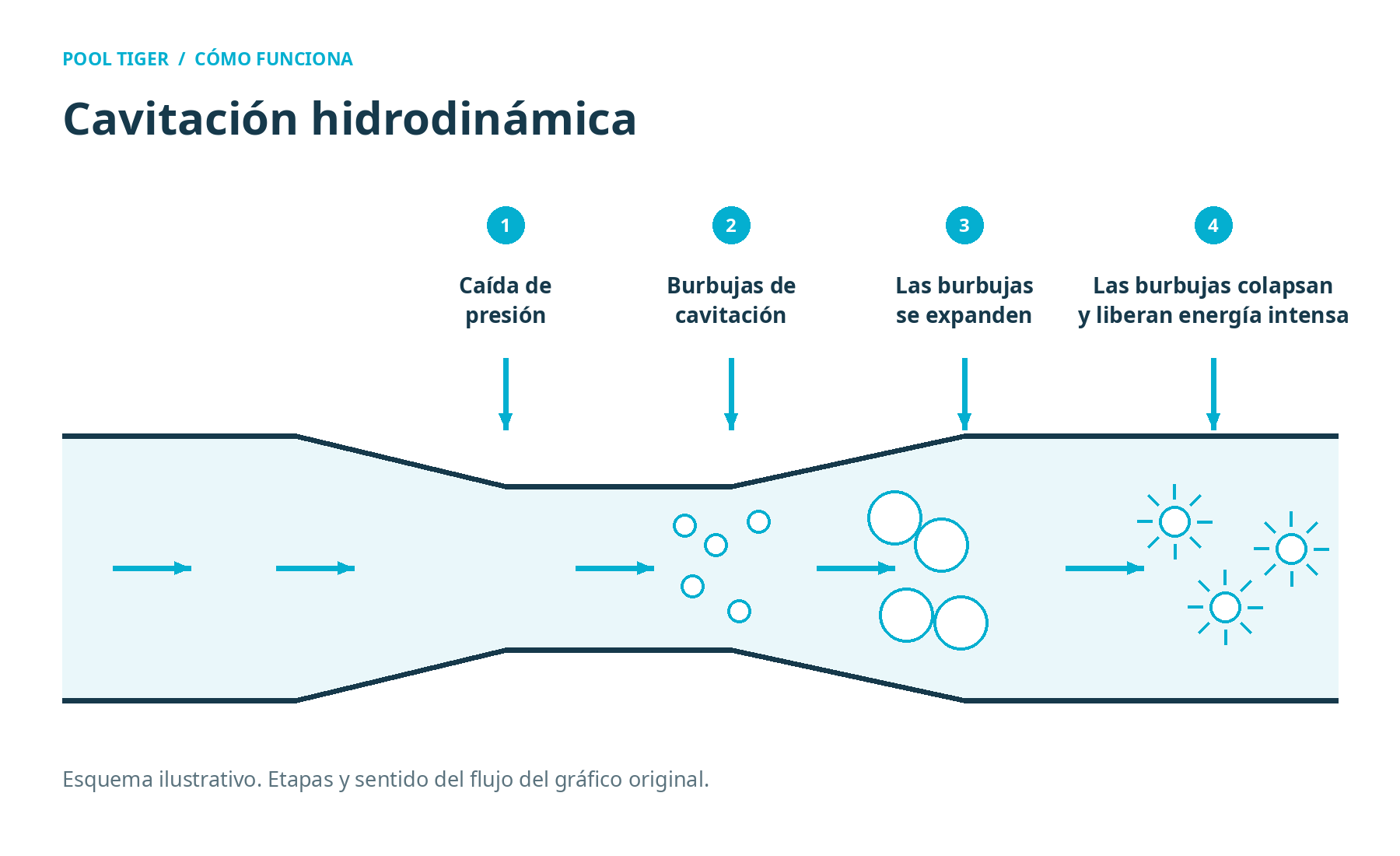 Diagrama de cavitación con sus etapas en español